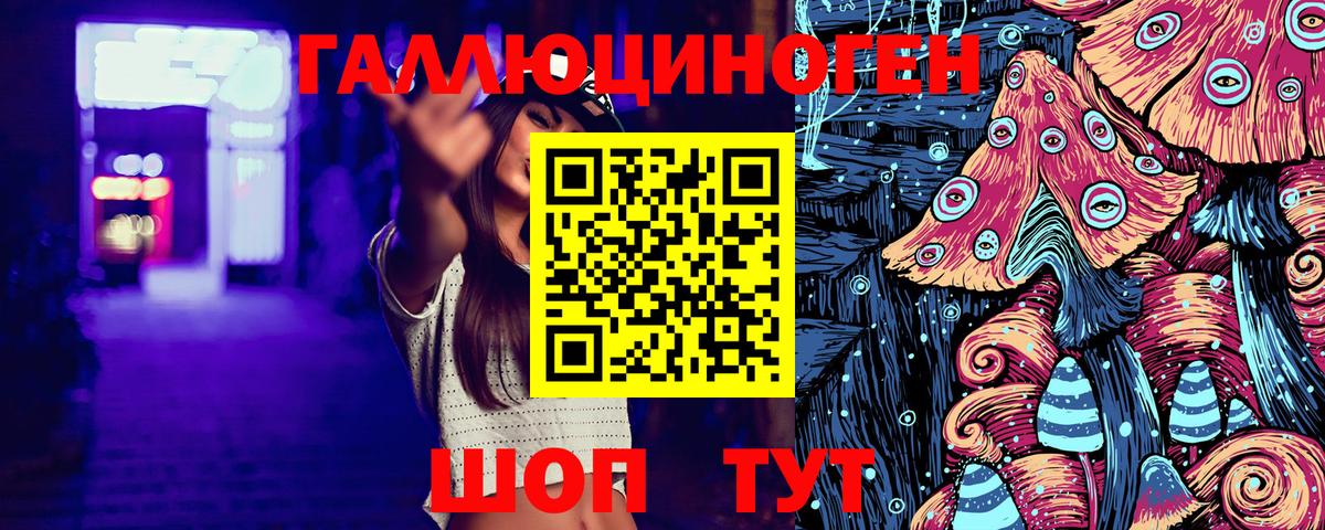 Псилоцибиновые грибы Psilocybe Верхний Уфалей