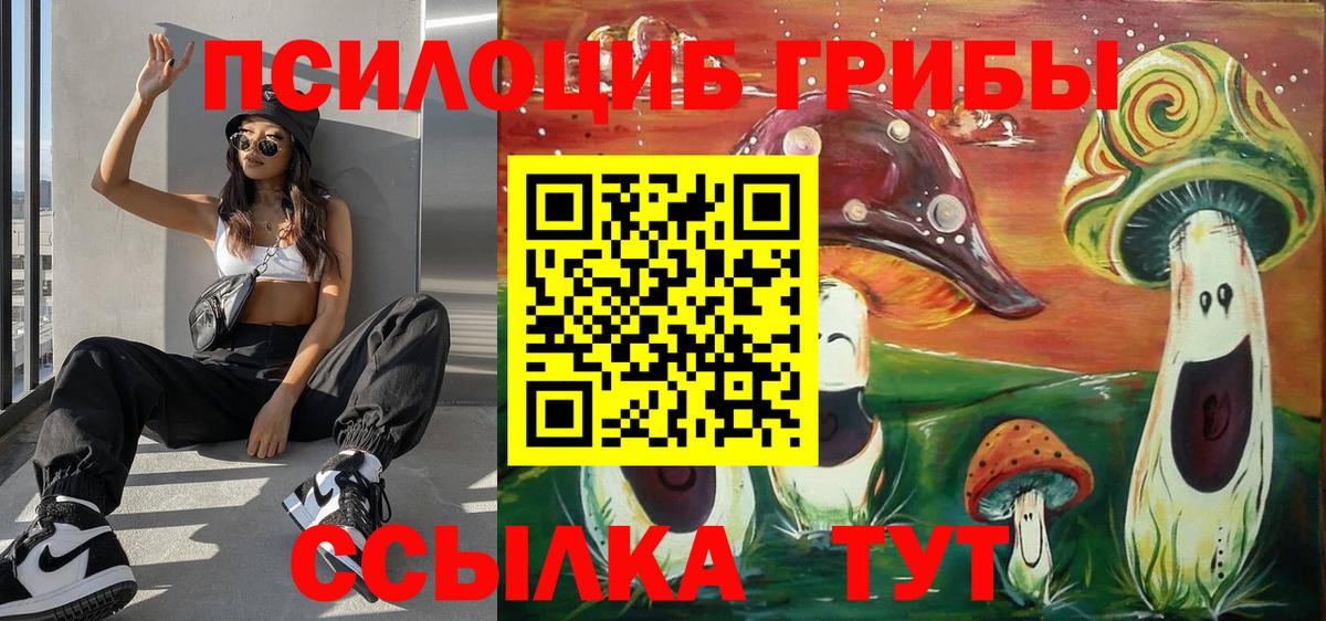 Галлюциногенные грибы Magic Shrooms  Вход с VPN  Псилоцибиновые грибы Psilocybe  сколько стоит  Верхний Уфалей 